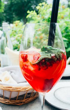 Nane, limon dilimleri ve kırmızı böğürtlenli yaz kokteyli, yaz ferahlatıcı içecek. Meyve kokteyli.