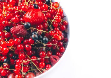 Çiğ çilek, ahududu, kırmızı ve siyah frenk üzümü, Bektaşi üzümü, seçim odaklı