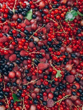 Çiğ çilek, ahududu, kırmızı ve siyah frenk üzümü, Bektaşi üzümü ve seçilmiş odak noktasından oluşan taze taze meyve karışımı.