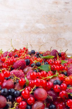Çiğ çilek, ahududu, kırmızı ve siyah frenk üzümü, Bektaşi üzümü ve seçilmiş odak noktasından oluşan taze taze meyve karışımı.