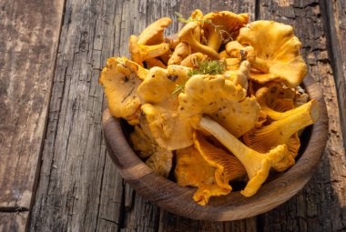 Cantharellus cibarius, altın chanterelle veya girolle, mantar. Eski ahşap tahtalarda ve ahşap kaselerde