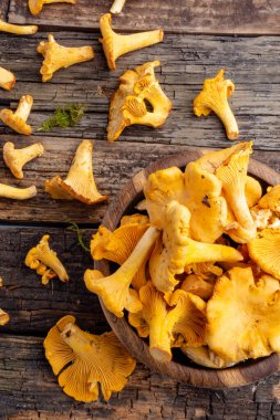 Cantharellus cibarius, altın chanterelle veya girolle, mantar. Eski ahşap tahtalarda