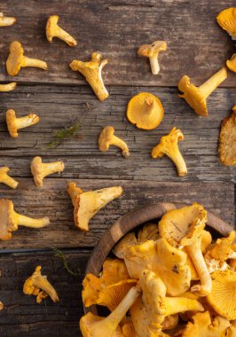 Cantharellus cibarius, altın chanterelle veya girolle, mantar. Eski ahşap tahtalarda