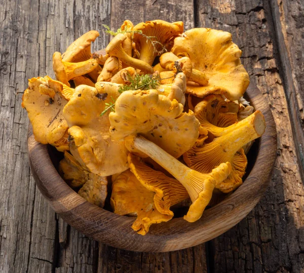 Cantharellus cibarius, altın chanterelle veya girolle, mantar. Eski ahşap tahtalarda ve ahşap kaselerde