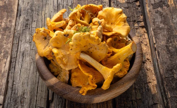 Cantharellus cibarius, altın chanterelle veya girolle, mantar. Eski ahşap tahtalarda ve ahşap kaselerde