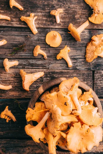 Cantharellus Cibarius Golden Chanterelle Girolle 곰팡이 나무로 빈티지 보드에 — 스톡 사진