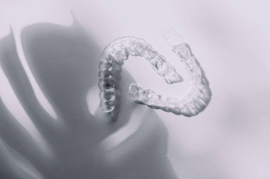 Modern diş saydam hizalayıcılar veya kozmetik dişçilikte dişleri düzeltmek için diş telleri ve moda canavar çiçek gölgeleriyle ortodonti, seçici odaklanma