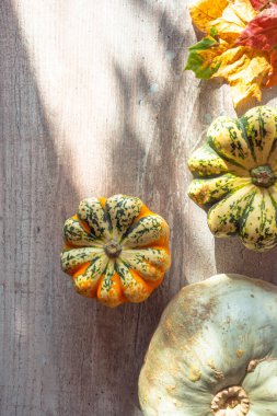 Yaprakları dökülen balkabakları güneşli gölgeli ahşap bir masanın üzerinde kopyalayarak.