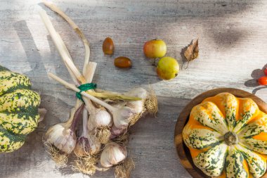 Balkabaklarından sonbahar dekoru, sarımsaklı kırmızı böğürtlen, beyaz ahşap arka planda meşe palamudu. Şükran Günü veya Cadılar Bayramı kavramı. Düz sonbahar kompozisyonu