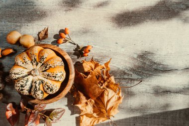 Balkabaklarından sonbahar dekoru, sarımsaklı kırmızı böğürtlen, beyaz ahşap arka planda meşe palamudu. Şükran Günü veya Cadılar Bayramı kavramı. Düz sonbahar kompozisyonu