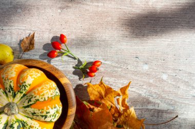 Balkabaklarından sonbahar dekoru, sarımsaklı kırmızı böğürtlen, beyaz ahşap arka planda meşe palamudu. Şükran Günü veya Cadılar Bayramı kavramı. Düz sonbahar kompozisyonu