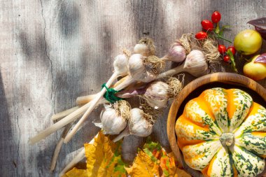 Balkabaklarından sonbahar dekoru, kırmızı böğürtlen sarımsağı, beyaz ahşap arka planda güneşli ışıklar. Şükran Günü veya Cadılar Bayramı kavramı. Düz yat, boşluğu kopyala