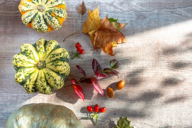Balkabaklarından sonbahar dekoru, beyaz ahşap arka planda kırmızı böğürtlen sarımsağı. Şükran Günü veya Cadılar Bayramı kavramı. Mevsimlik teklifler ve tatil kartpostalları için maket. Güneşli gölgelerle donuk sonbahar kompozisyonu