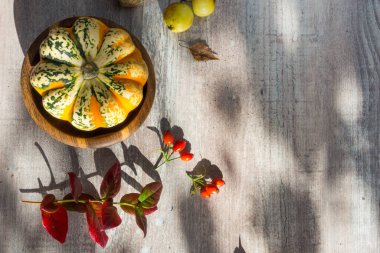 Balkabaklarından sonbahar dekoru, kırmızı böğürtlen yaprakları, beyaz ahşap arka planda elmalar. Şükran Günü veya Cadılar Bayramı kavramı. Düz sonbahar kompozisyonu