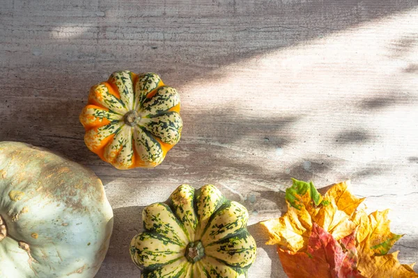 Calabazas Cosechadas Con Hojas Follaje Otoño Una Mesa Madera Con —  Fotos de Stock