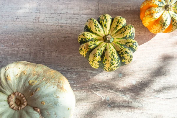 Őszi Sütőtök Háttéren Felülnézet Fénymásoló Felülettel Halloween Hálaadás Napja Halloween — Stock Fotó