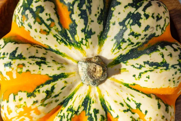 Naranja Calabaza Orgánica Otoño Verde Macro Foto Enfoque Suave —  Fotos de Stock