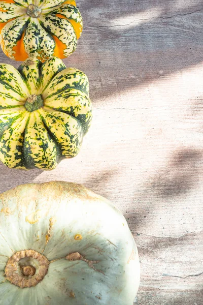 Calabazas Otoño Sobre Fondo Madera Vista Superior Con Espacio Copia — Foto de Stock