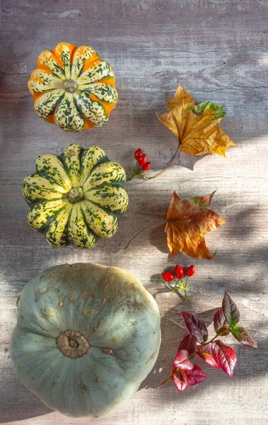 Decoración Otoño Calabazas Bayas Rojas Follaje Ajo Sobre Fondo Madera — Foto de Stock