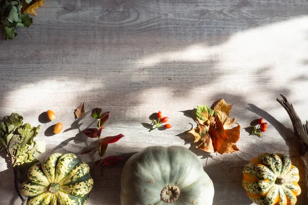 Decorazione Autunnale Zucche Aglio Fogliame Bacche Rosse Sfondo Legno Bianco — Foto Stock