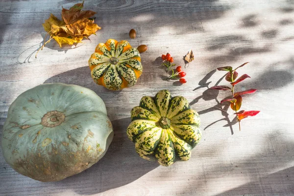 Decorazione Autunnale Zucche Aglio Fogliame Bacche Rosse Sfondo Legno Bianco — Foto Stock