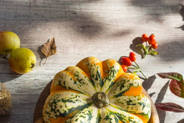 秋天装饰从南瓜 红色浆果叶 苹果在白色的木制背景 感恩节或万圣节快乐的概念 平平静静的秋天构图 — 图库照片