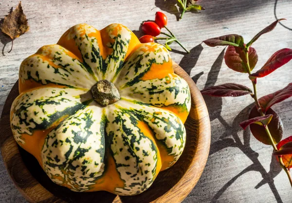 Decoración Otoño Calabazas Bayas Rojas Follaje Sobre Fondo Madera Blanca —  Fotos de Stock