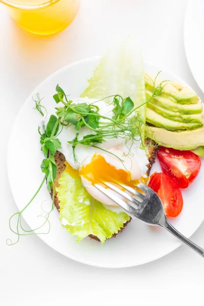 계란에는 오렌지와 아보카도 토마토 샐러드 마이크로 그린에 칙령이 건강하고 맛있는 — 스톡 사진