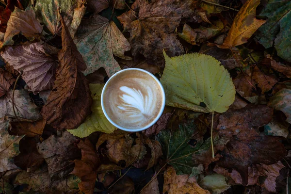 Tazza Caffè Carta Usa Getta Foglie Acero Giallo Autunno Cappuccino — Foto Stock