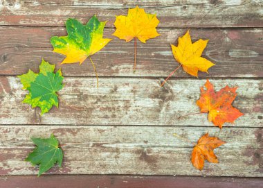 Eski ahşap arkaplanda renkli akçaağaç yaprakları, kopyalama alanı, seçici odak