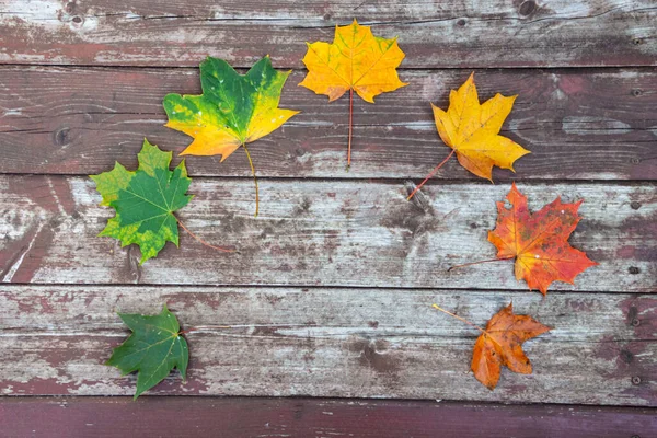Eski ahşap arkaplanda renkli akçaağaç yaprakları, kopyalama alanı, seçici odak