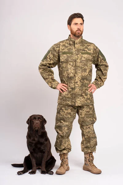 Uzun Boylu Yakışıklı Sakallı Bir Adam Kahverengi Labrador Köpeği Eğiten — Stok fotoğraf