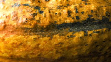 Cadılar Bayramı ve Ölüler Günü için kırmızı ve turuncu ışıklı balkabakları ve diğer dekoratif eşyalar.