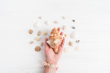 Küçük kadın elinde büyük bir kabuk çeşitli kabukları, düz kopya alanı ile yatıyordu
