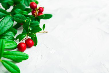 Kopya alanı ile gri arka plan üzerinde meyveleri ile Yeşil taze yaprakları