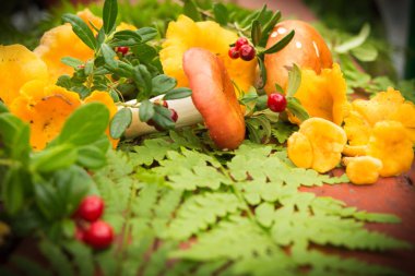 Mantar ve çilek ile kopya alanı yapraklarda sonbahar konsepti