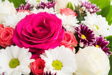 Buket gül ve daisy Woman's Day, closeup görünümü için
