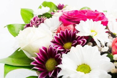 Papatya, gül ve beyaz arka plan üzerinde krizantem güneşli çiçek buketi