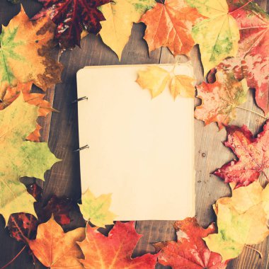 Defter ıslak sonbahar akçaağaç yaprakları etrafında, kopya alanı, düz yatıyordu tarzı ile tasarım sonbahar konsepti ile