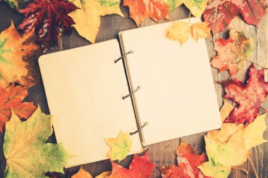 Islak akçaağaç yaprakları ve kopya alanı, düz yatıyordu tarzı ile Center'da açık not defteri ile tonda sonbahar konsepti