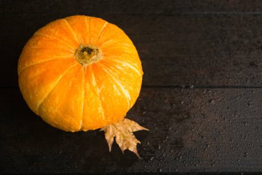 Tüm turuncu kabak ile yağmur damlaları ve kopya alanı ile koyu arka plan üzerinde yaprak ıslak