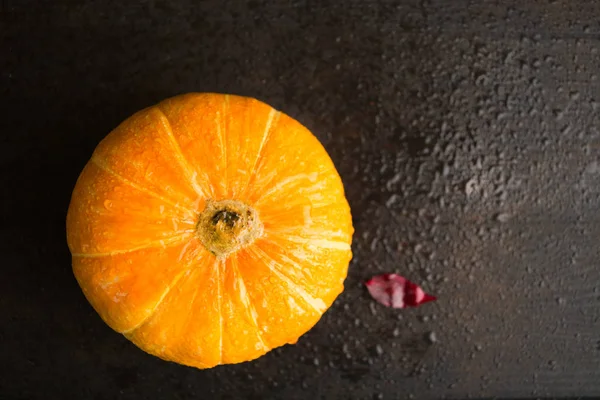 Calabaza Naranja Entera Con Gotas Lluvia Hoja Húmeda Sobre Fondo — Foto de Stock