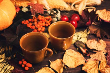 İki bardak çay kuru yaprakları, kabak, rowan ve elma ile. Sonbahar konsepti
