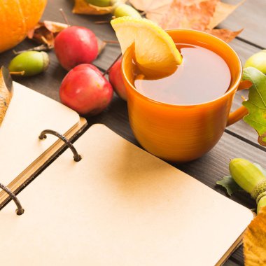 Sonbahar Kupası ile elma ve kopya alanı, kare çekim açık vitage eski boş kitapla Limonlu sıcak bir içecek