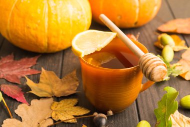 Sıcak sonbahar içecek limon ve bal ile sonbahar dekorasyon, seçici odak