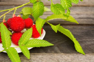 Yapraklarla kopya alanı, seçici odak ahşap zemin üzerine kırmızı Tibet ahududu