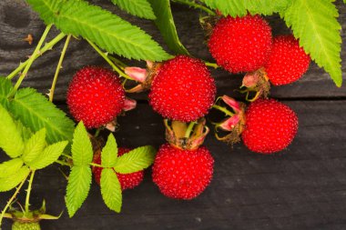 Sağlıklı egzotik kırmızı Tibet ahududu, ahşap arka plan üzerinde vitaminler ile bağışıklık önleyici tedbirler
