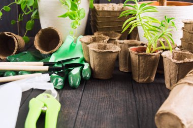 Tencere, aletler, eldiven ve bitkiler ile bahçe ve fide bahar kavramı