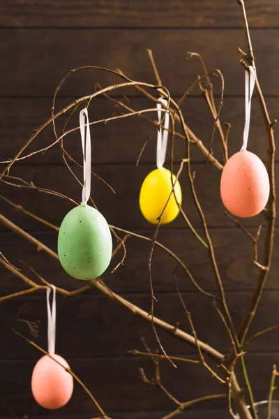 Oeufs colorés de Pâques sur arbre avec fond en bois foncé — Photo