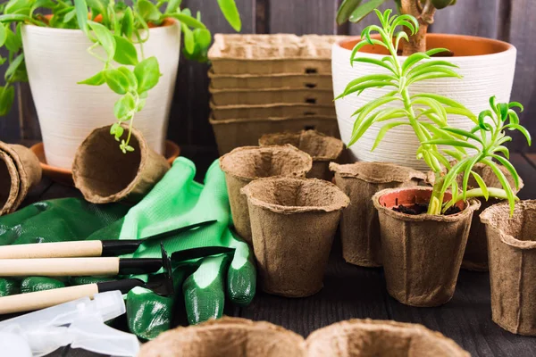 Pot, alat dan tanaman yang berbeda untuk konsep berkebun — Stok Foto